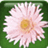 icon_ppgl_2